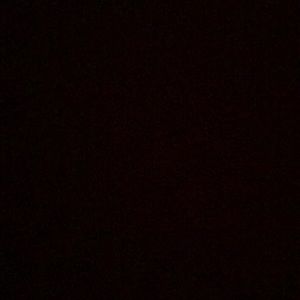 Meet your Posher, Rachelle